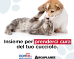 ConTe.it Assicurazioni e Arcaplanet insieme per la tutela degli animali hp_thumb_img