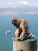 Ivass, De Vert Insurance e Lemma Europe liquidate a Gibilterra