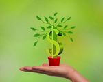 Un fondo Unit-linked “verde”per Axa hp_thumb_img