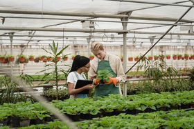Sostenibilità: un nuovo fondo per l'agricoltura rigenerativa