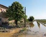 Alluvione in Emilia-Romagna, il sostegno delle compagnie hp_thumb_img