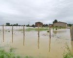 Alluvione in Romagna, proseguono le iniziative di Axa Italia hp_thumb_img