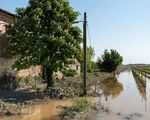 Alluvione in Emilia-Romagna, ecco i contributi di Sna hp_thumb_img