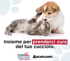 ConTe.it Assicurazioni e Arcaplanet insieme per la tutela degli animali