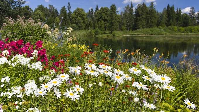 Axa Italia e Iulm per i giovani leader del cambiamento climatico