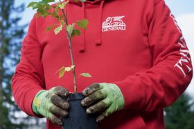 Generali, prosegue il progetto “Un albero per azionista”