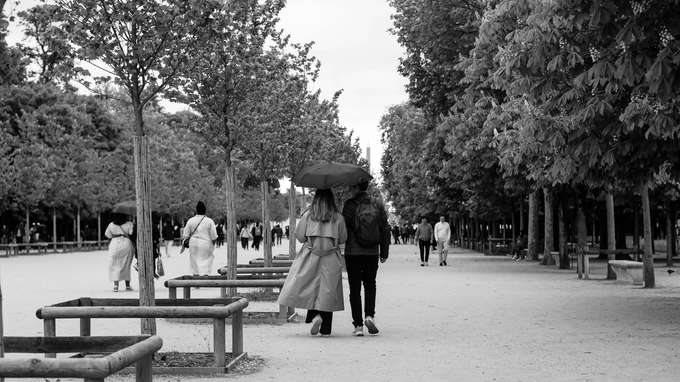 Cat nat, il modello francese alla prova