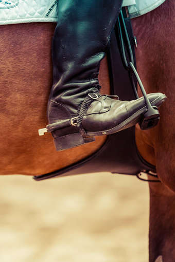 Massimale e somma assicurata nelle polizze infortuni hp_vert_img