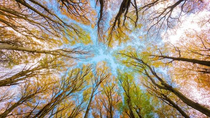 Gli investitori puntano sulla sostenibilità